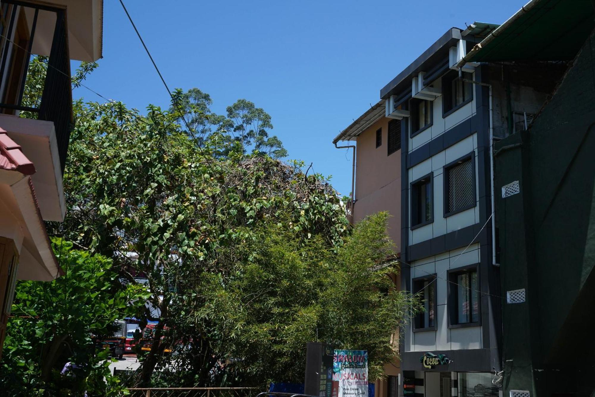 Oyo Hotel Cocoa Tree 蒙纳 外观 照片